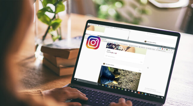 Instagram Organic Growth Agency