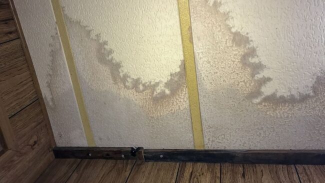 Mold Remediation Mesa